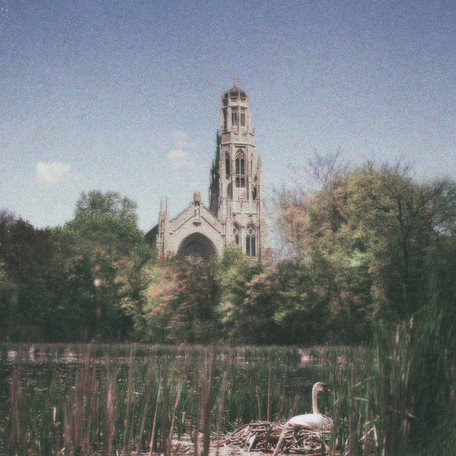 A Mourning Star : Necessity Has Clipped My Wings